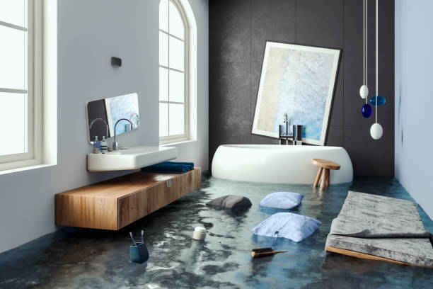 Water damage restoration mold remediation in IL