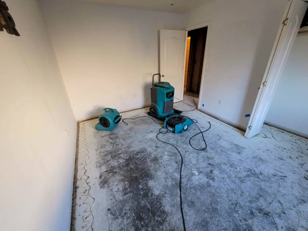 Best Residential water damage restoration  in Bushnell, IL