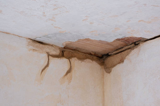 Best Water damage contractors near me  in Bushnell, IL