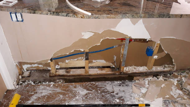 Best Local water damage restoration  in Bushnell, IL