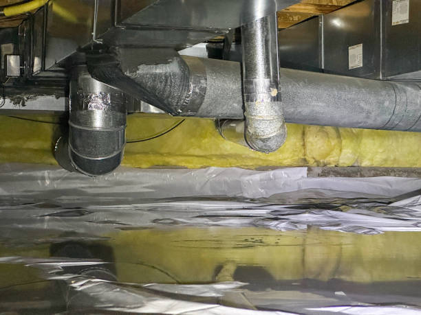 Best Flooded house restoration  in Bushnell, IL