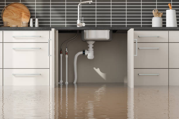 Best Water damage restoration near me  in Bushnell, IL