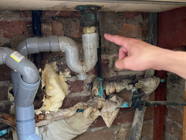 Best Mold removal after water damage  in Bushnell, IL