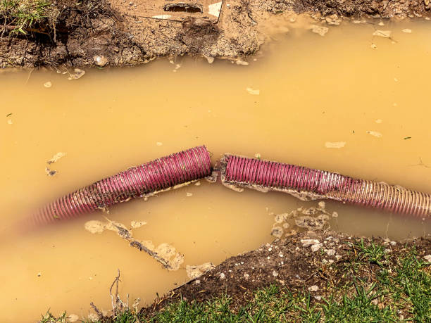 Best 24/7 water damage repair  in Bushnell, IL