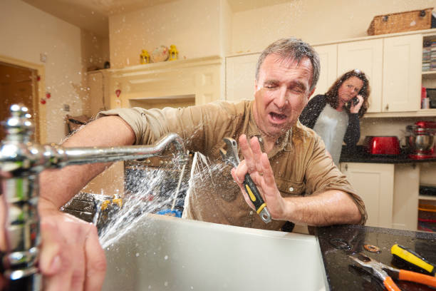 Best Water damage restoration near me  in Bushnell, IL